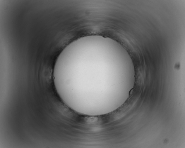 X0000102470230200808221650