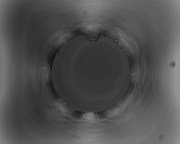 X0000102470231200808221650