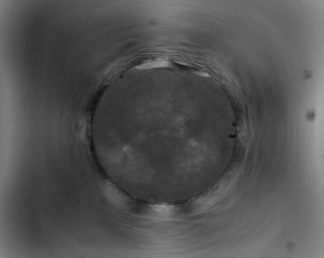 X0000102470233200808221650