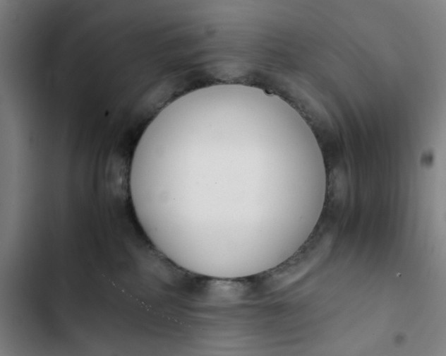 X0000102470234200808221650