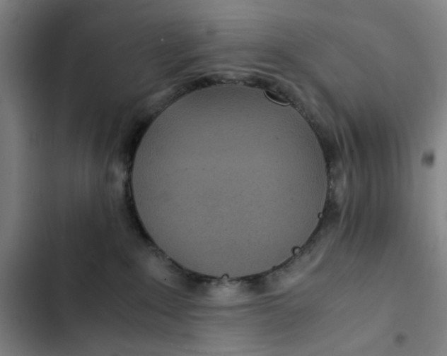 X0000102470235200808221650