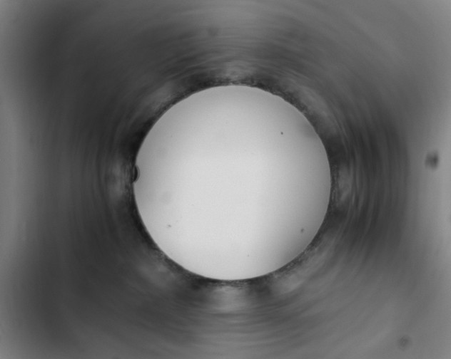 X0000102470236200808221650