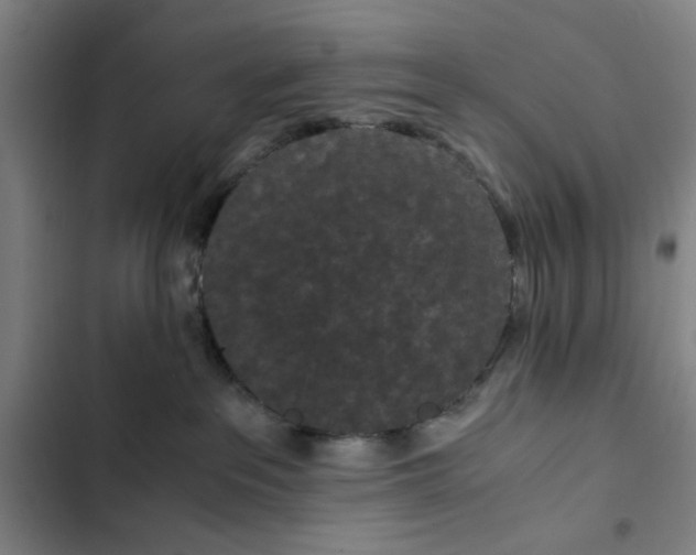 X0000102470237200808221650