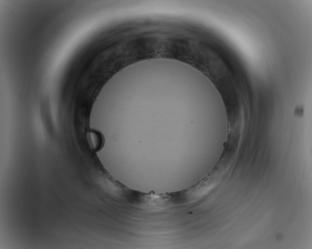X0000102470239200808221650