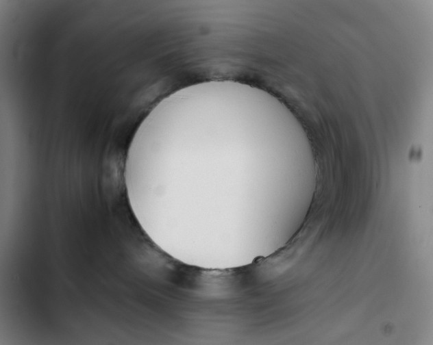 X0000102470240200808221650