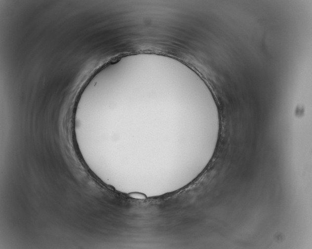 X0000102470241200808221649