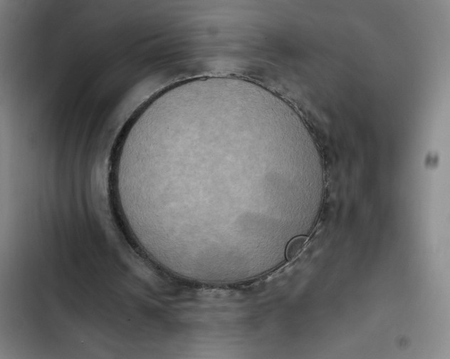 X0000102470242200808221649