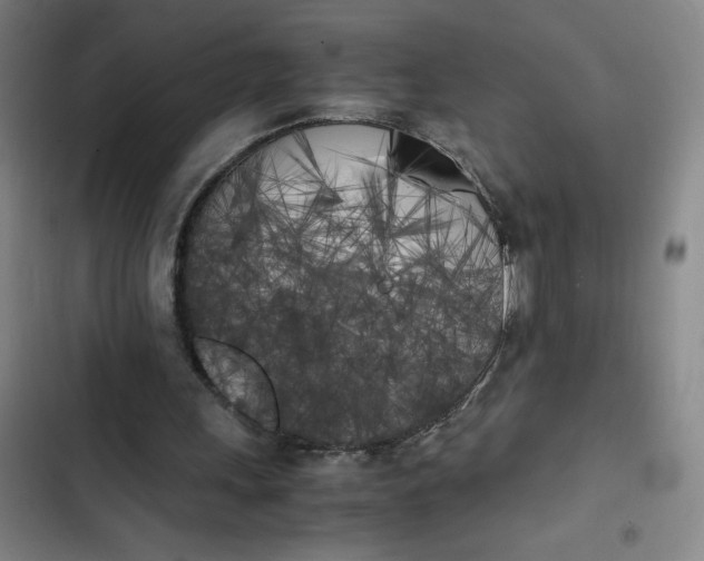 X0000102470243200808221649