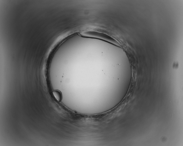 X0000102470244200808221650