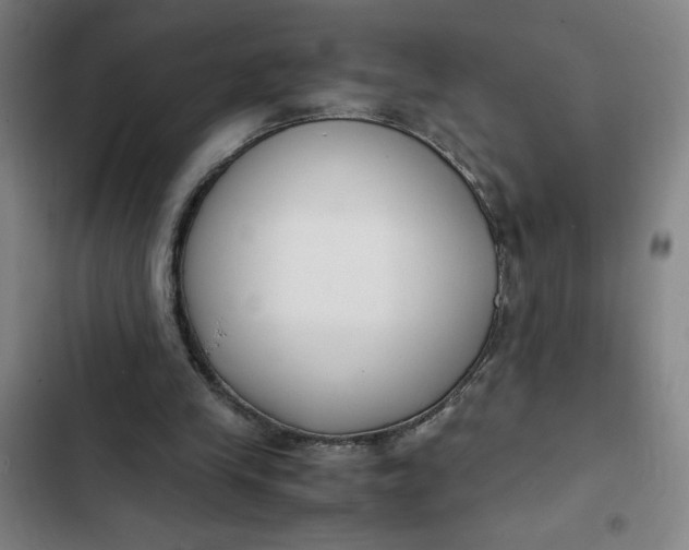 X0000102470245200808221650
