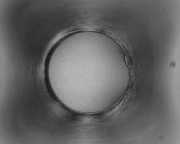 X0000102470246200808221650