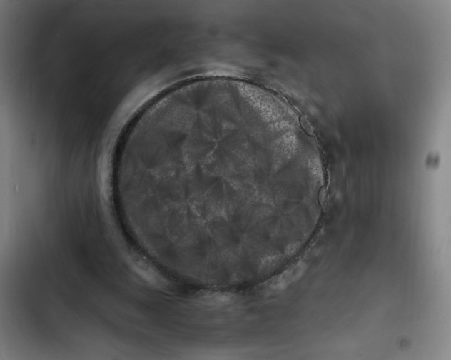 X0000102470247200808221650