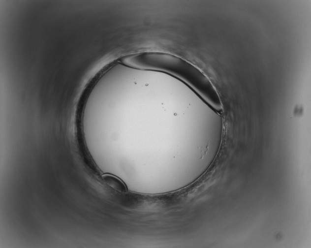 X0000102470248200808221650