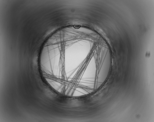 X0000102470249200808221650