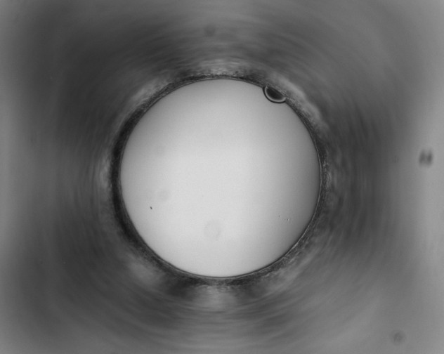 X0000102470250200808221650