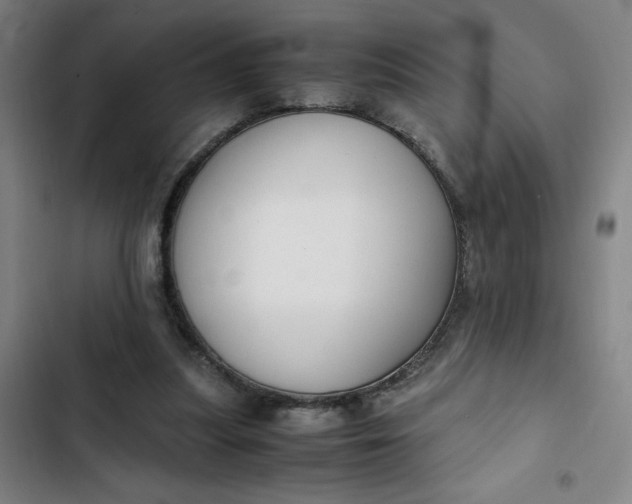 X0000102470251200808221650
