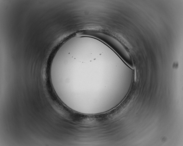X0000102470252200808221650