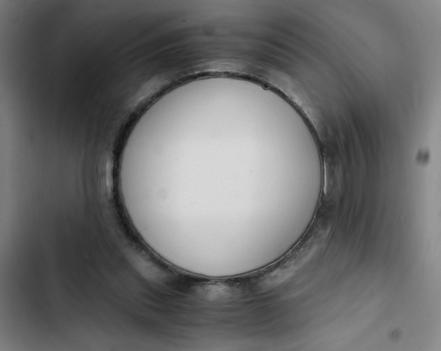 X0000102470253200808221650
