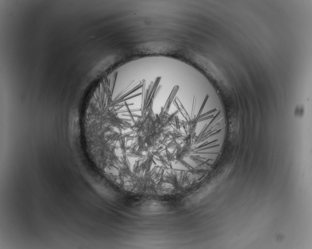 X0000102470254200808221650