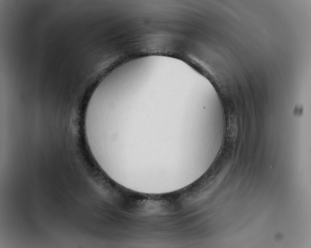 X0000102470255200808221650
