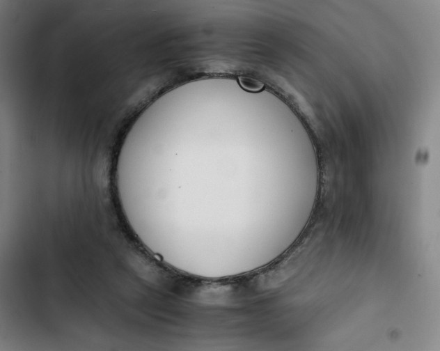 X0000102470257200808221650