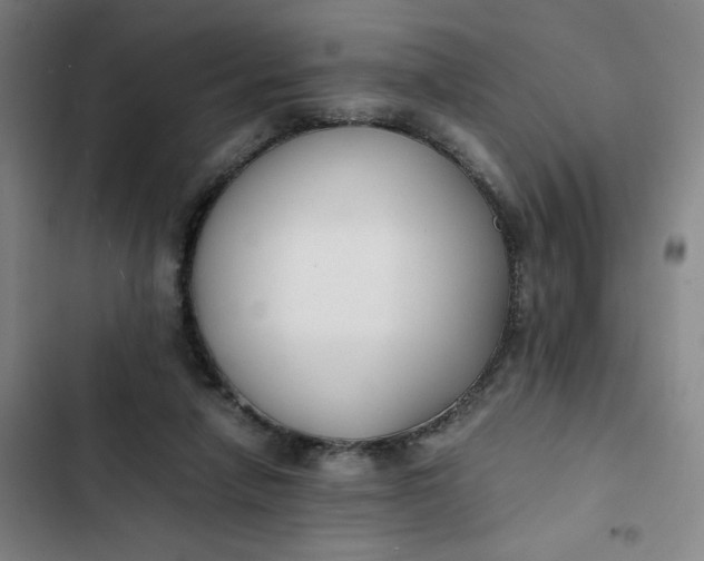 X0000102470258200808221650
