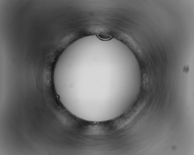 X0000102470259200808221650