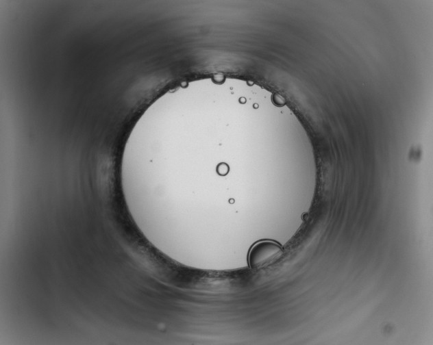 X0000102470260200808221650