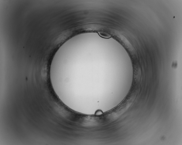 X0000102470261200808221650
