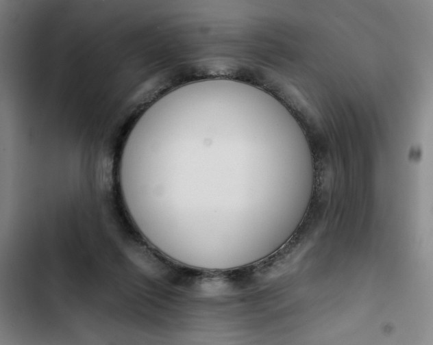 X0000102470262200808221650