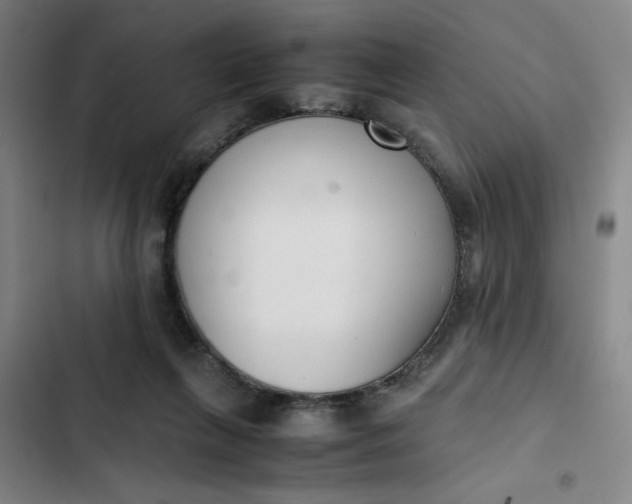 X0000102470263200808221650