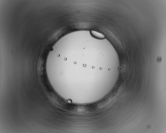 X0000102470264200808221650