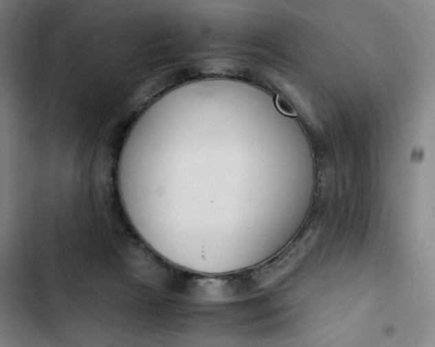 X0000102470265200808221650