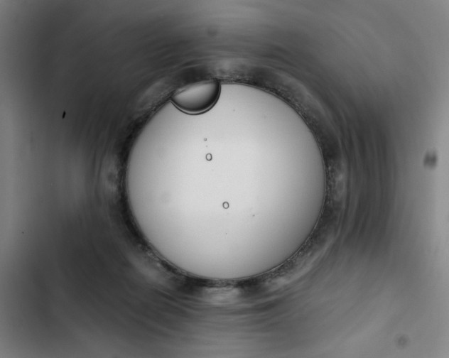 X0000102470266200808221650