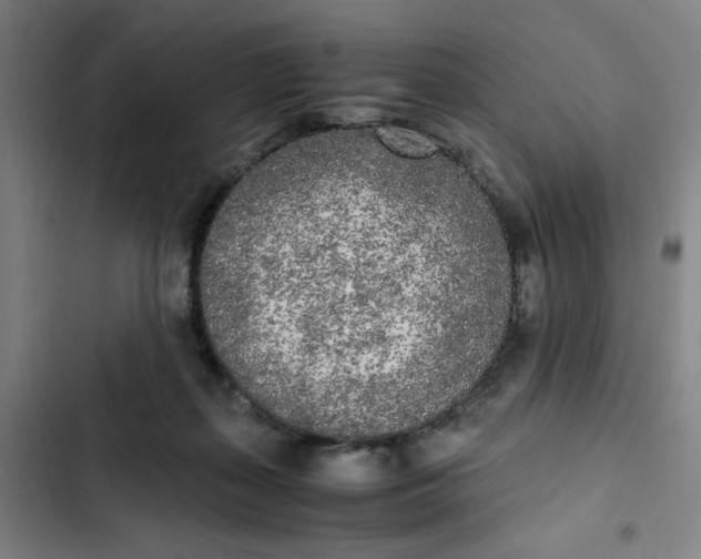 X0000102470267200808221650