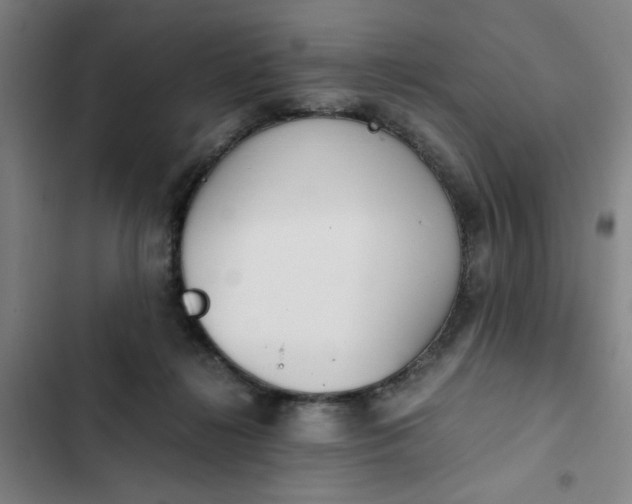 X0000102470268200808221650