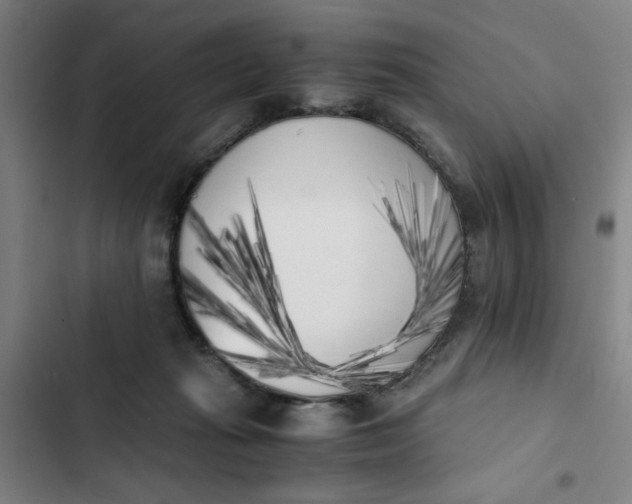 X0000102470269200808221650
