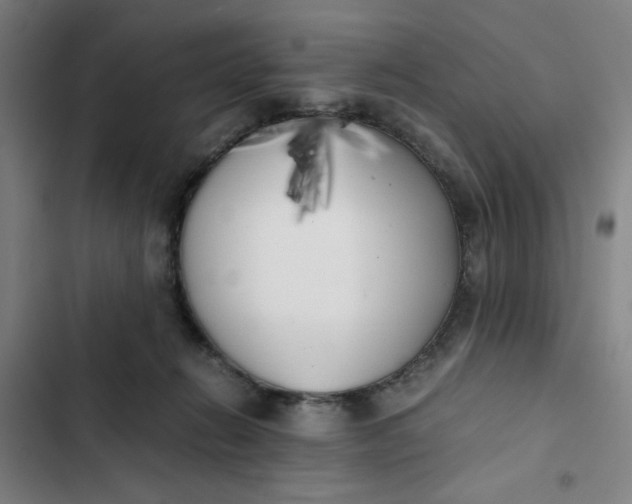 X0000102470270200808221650