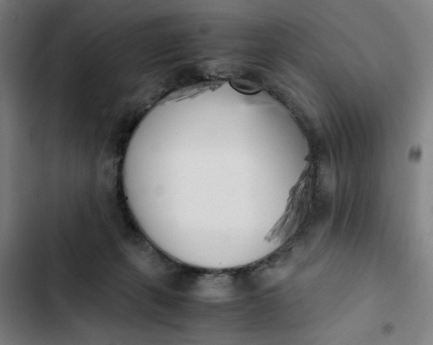 X0000102470271200808221650