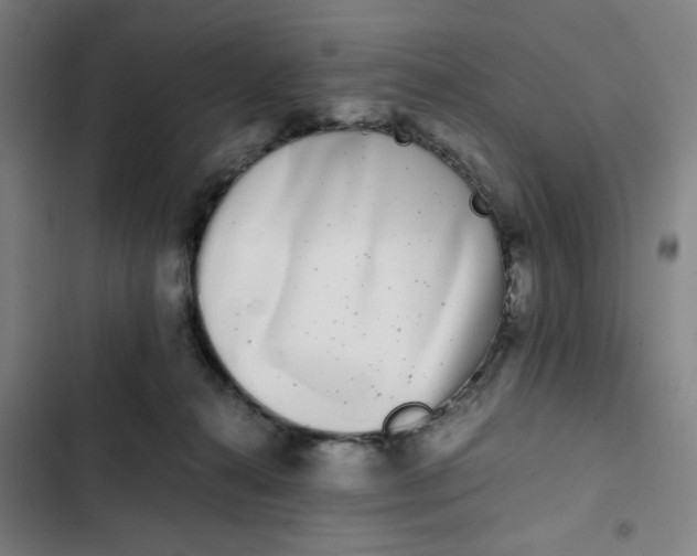 X0000102470272200808221650