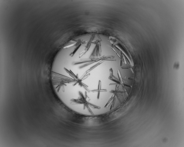 X0000102470273200808221650