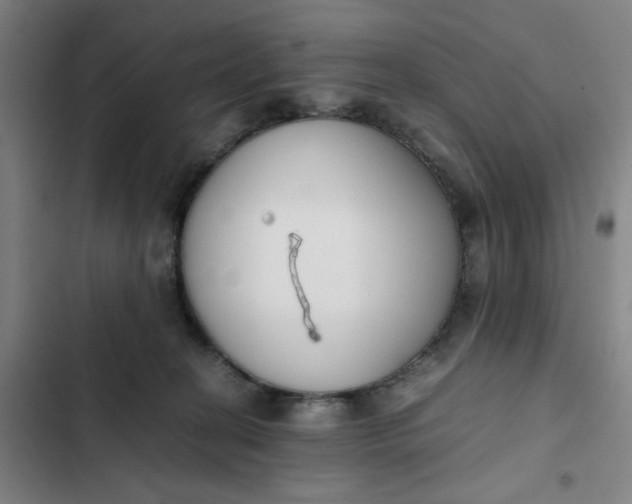 X0000102470274200808221650