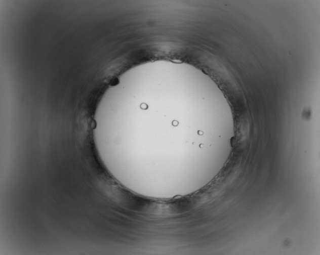 X0000102470276200808221650