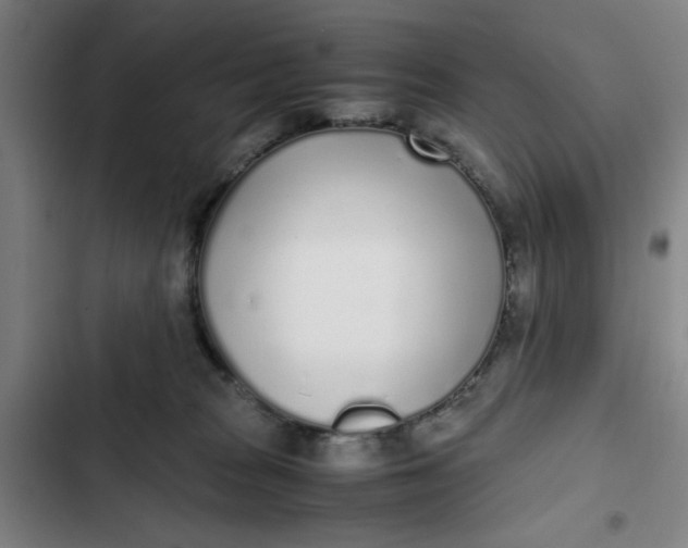 X0000102470277200808221650