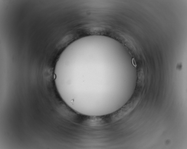 X0000102470278200808221650
