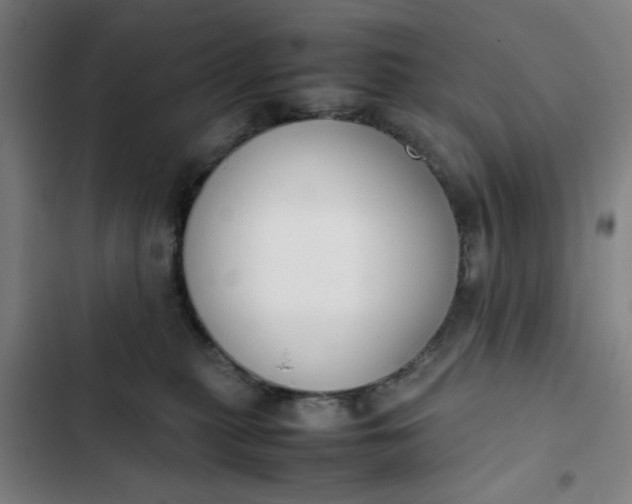 X0000102470279200808221650