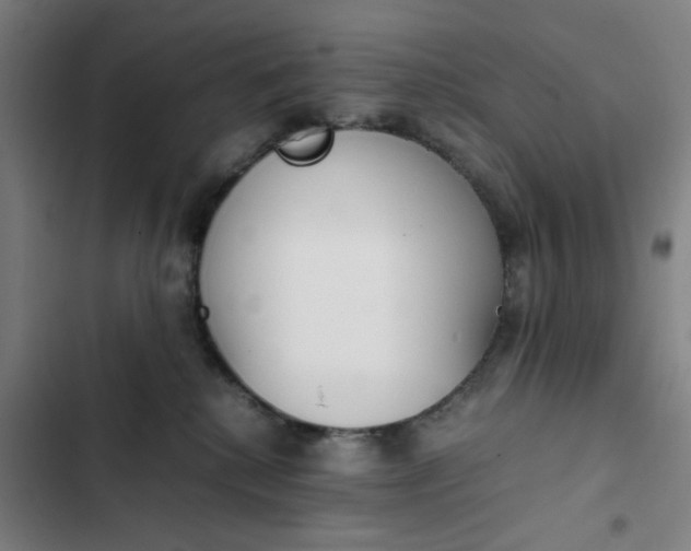 X0000102470280200808221650
