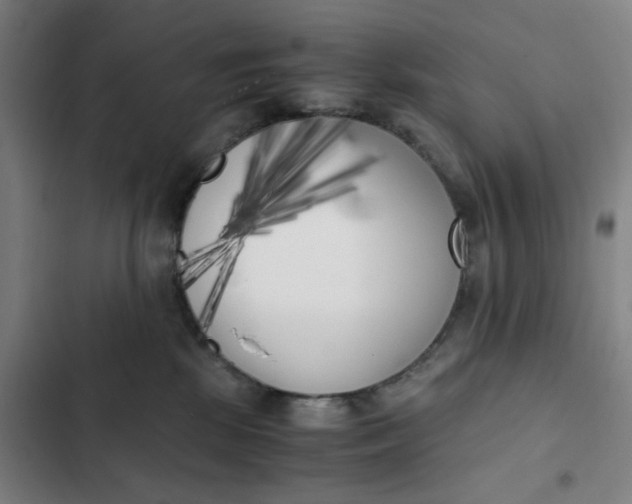 X0000102470281200808221650
