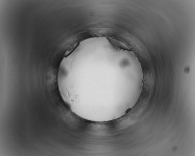 X0000102470284200808221650