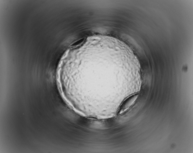 X0000102470285200808221650